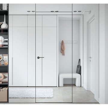 Interior door Uni-Glass UniGlass, mirror, with mirror, hidden frame — Omega