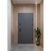 Secure entrance door Parallel for apartment