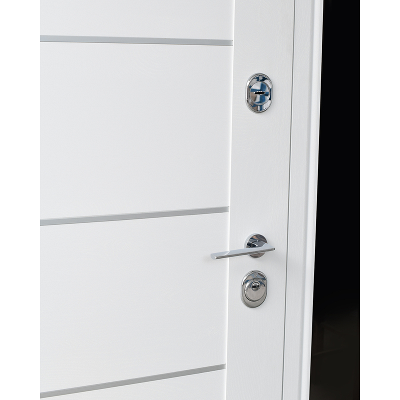Secure entrance door Parallel for apartment