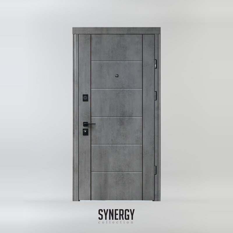 Secure entrance door Parallel for apartment