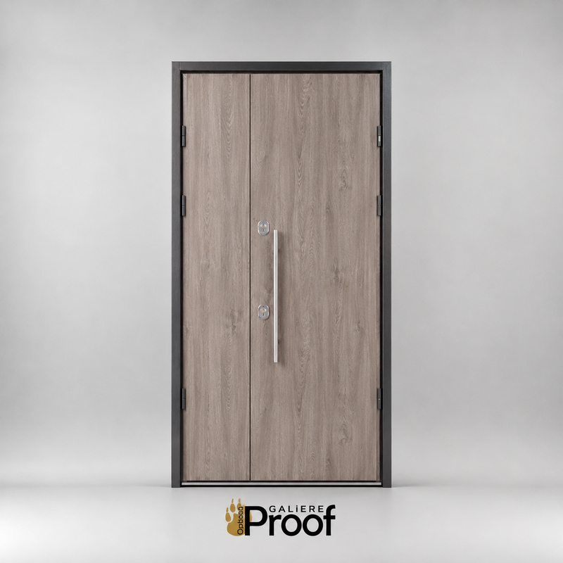 Bezpečnostné vchodové dvere Proof 1.5 do domu