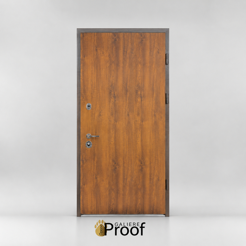 Bezpečnostné vchodové dvere Proof do domu